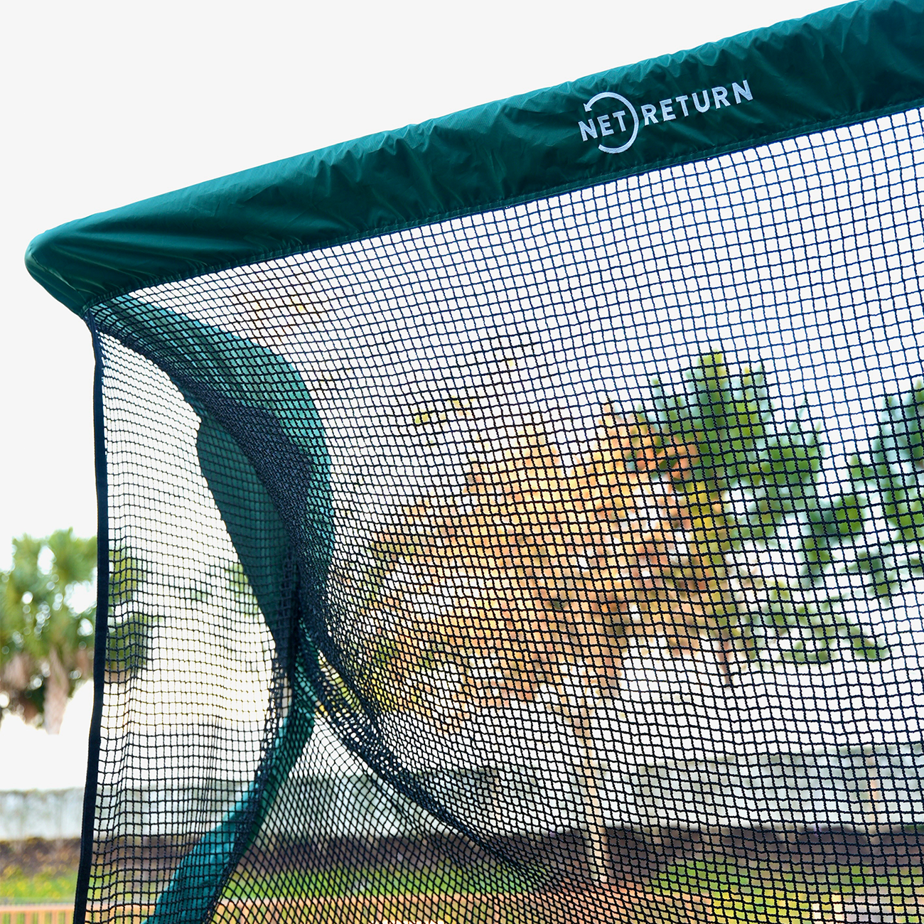 Azalea Net